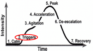 Graph showing that over time, the intensity of the phases.  4. "Triggers" shows slight increase in intensity..