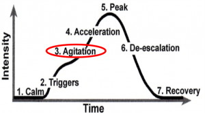 Graph showing that over time, the intensity of the phases.  4. "agitation" shows increasing intensity..