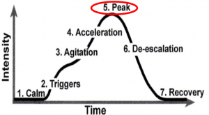Graph showing that over time, the intensity of the phases.  5. peak ,shows highest intensity.